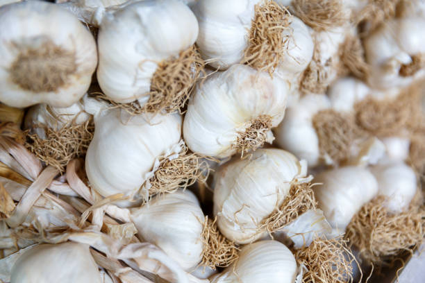 Unpeeled Garlic Pack - small size